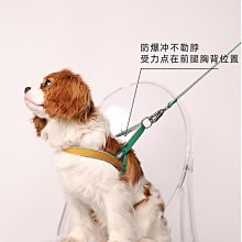 小狗狗牽引繩背心式遛狗繩子泰迪比熊小型犬胸背帶外出狗鏈子寵物 歷史價格詳細信息
