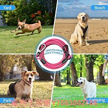 狗鏈子狗繩中型大型犬狗狗牽引繩拉布拉多金毛遛狗繩項圈狗狗用品-沐陽家居 歷史價格詳細信息