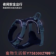 比熊狗狗牽引繩可愛遛狗鏈子小型犬寵物胸背帶泰迪博美小狗牽狗繩 歷史價格詳細信息