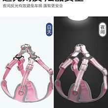 狗狗牽引繩狗繩鏈中小型犬泰迪博美自動伸縮柯基遛狗寵物用品 歷史價格詳細信息