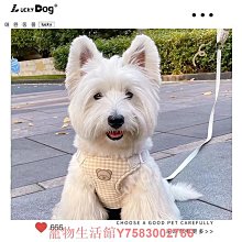 比熊狗狗牽引繩可愛遛狗鏈子小型犬寵物胸背帶泰迪博美小狗牽狗繩 歷史價格詳細信息