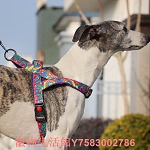 中大型狗用防爆衝胸背帶+反光安全牽繩+項圈 寵物防爆衝 馬鞍型寵物胸背帶 魔術貼側貼 中大型犬 胸背帶 帶夜--特價 歷史價格詳細信息