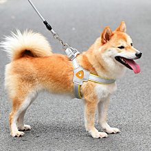 寵物遛狗牽引繩狗狗牽引繩小型犬背心式小狗網紅牽引繩寵物狗用品牽引繩 歷史價格詳細信息