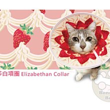 【BONEBONE】伊莉莎白寵物項圈-餅乾/寵物項圈/頚圈/頭套/防咬保護套MS 歷史價格詳細信息
