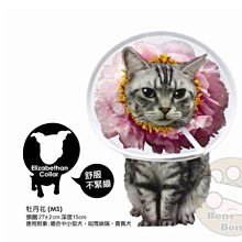 【BONEBONE】伊莉莎白寵物項圈-餅乾/寵物項圈/頚圈/頭套/防咬保護套MS 歷史價格詳細信息