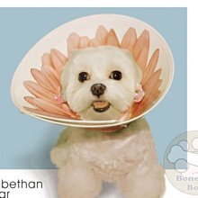 【BONEBONE】伊莉莎白寵物項圈-餅乾/寵物項圈/頚圈/頭套/防咬保護套MS 歷史價格詳細信息