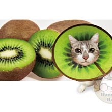 【BONEBONE】伊莉莎白寵物項圈-餅乾/寵物項圈/頚圈/頭套/防咬保護套MS 歷史價格詳細信息