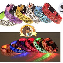 寵舖 中壢寵物精品店批發零售【寵物玩具乳胶玩具 6款蔬菜水果系列MINI】BIBI好玩 歷史價格詳細信息