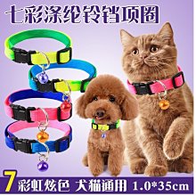 =吉米生活館= 兔用健康踏板 寵物籠底板 兔子腳墊板 寵物籠腳墊 兔用踏墊 兔籠專用安全踏板 健康踏墊 寵物腳踏墊 歷史價格詳細信息