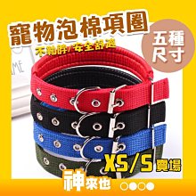 狗脖圈狗狗項圈寵物中大型犬金毛柴犬拉布拉多大型犬頸圈狗圈脖 歷史價格詳細信息