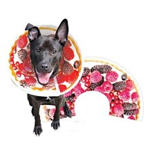 項塔蘭 (下 )         葛雷哥里˙羅伯茲             野人文化 歷史價格詳細信息