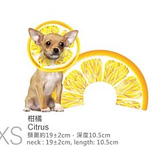 【BoneBone】公司貨附發票 台中歡迎自取 特緹斯TWISTIX 潔牙骨 雙色螺旋 三種口味/尺寸 歷史價格詳細信息