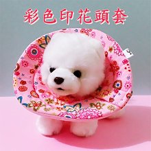 寵物彩色圓頭7件美發套裝魚嘴型彎剪 直剪鋼梳 黑色彩色美容套裝 歷史價格詳細信息