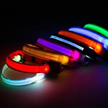 【LED發光寵物項圈(兩入裝)】LED 寵物安全圈 歷史價格詳細信息