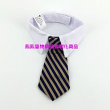 客製化狗項圈胸背帶套裝可調節狗狗頸圈大中小型犬通用防丟可刻字遛狗繩 歷史價格詳細信息