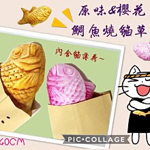 附發票！【寵愛生活本舖】-9號~11號賣場-寵物中筒拉鍊式縮口休閒犬鞋 不掉 狗鞋 大狗鞋 小狗鞋 寵物鞋 歷史價格詳細信息