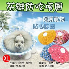 小熊@伊莉莎白防咬項圈-獅子款 M號 小型犬 防抓防咬防舔 寵物美容脖子頭套 安全耐用 簡單方便 舒適柔軟 造型可愛 歷史價格詳細信息