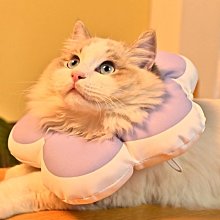 伊麗莎白圈貓咪圍脖套犬貓通用防抓貓項圈防護圈美容罩恥辱【二丁目】 歷史價格詳細信息