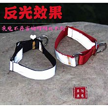 細狗帆布牽引脖套一體繩惠比特犬遛狗繩格惠格力犬牽引繩一拉緊新~爆款 優惠價 歷史價格詳細信息