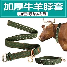 牛皮狗狗項圈脖圈可調節寵物頸圈中大型犬金毛法牛柴犬哈士奇狗圈 歷史價格詳細信息