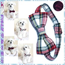 ☆貓狗寵物屋☆附發票~巴絲特《蝦紅素 1000克/桶》 機能五星潔牙骨 獎勵.訓練 狗狗寵物零食~台灣製造 歷史價格詳細信息