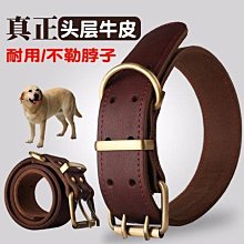 大型犬狗狗項圈狗脖套中小型犬脖圈金毛拉布拉多項圈脖套寵物用品超夯 精品 歷史價格詳細信息