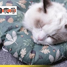 寵物狗狗伊麗莎白圈軟頭套透氣防舔神器柯基法斗絕育用品恥【二丁目】 歷史價格詳細信息