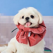 伊麗莎白圈貓咪圍脖套犬貓通用防抓貓項圈防護圈美容罩恥辱【二丁目】 歷史價格詳細信息