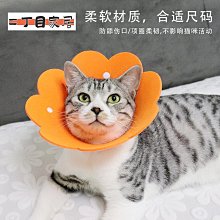 寵物用品 貓咪項圈脖圈貓牌刻名字防丟失寵物脖飾項鏈鈴鐺飾品掛牌小貓配飾 歷史價格詳細信息