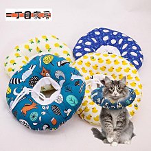 伊麗莎白泰勒 共10集 DVD 小婦人、玉女神駒、劫後英雄傳、郎心如鐵、岳父大人、巨人、朱門巧婦...... 歷史價格詳細信息