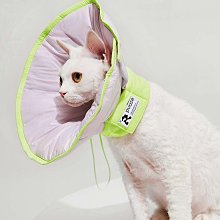 伊麗莎白圈軟防舔咬恥辱頸圈狗狗羞恥項圈法斗脖圈貓脖子狗狗頭套 歷史價格詳細信息