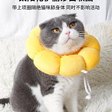 伊麗莎白圈軟防舔咬恥辱頸圈狗狗羞恥項圈法斗脖圈貓脖子狗狗頭套 歷史價格詳細信息