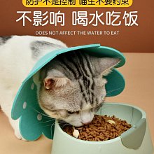 伊麗莎白圈貓伊利沙白圈貓咪狗頭罩狗狗頭套幼貓防咬防舔用【二丁目】 價格比較,價格查詢,歷史價格詳細信息