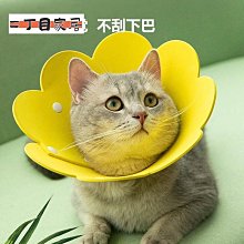 伊麗莎白圈貓伊利沙白圈貓咪狗頭罩狗狗頭套幼貓防咬防舔用【二丁目】 歷史價格詳細信息