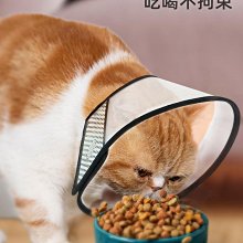 伊麗莎白圈狗狗貓咪項圈脖套防舔咬圈軟項圈絕育圈寵物頭套恥辱圈 歷史價格詳細信息
