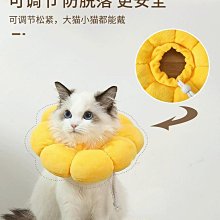 伊麗莎白圈可愛水果護頸防舔咬脖圈【培菓寵物】 歷史價格詳細信息