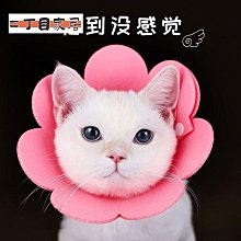 伊麗莎白圈軟防舔咬恥辱頸圈狗狗羞恥項圈法斗脖圈貓脖子狗狗頭套 歷史價格詳細信息