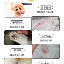 伊麗莎白圈軟防舔咬恥辱頸圈狗狗羞恥項圈法斗脖圈貓脖子狗狗頭套 歷史價格詳細信息