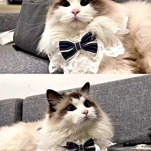 台灣現貨供應～天然葫蘆招財擺飾雕刻掛飾真葫蘆福祿擺件 歷史價格詳細信息