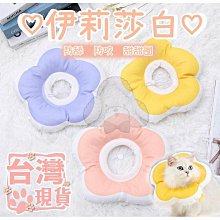 『伊果~現貨秒出』挑戰最便宜 狗狗發聲玩具 狗玩具 磨牙玩具 耐咬解悶 花生 玉米 耐咬玩具 啾啾玩具 你丟我撿 歷史價格詳細信息