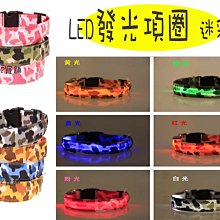 寵舖 中壢寵物精品店批發零售【寵物玩具乳胶玩具 6款蔬菜水果系列MINI】BIBI好玩 歷史價格詳細信息