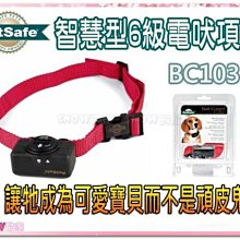 美國 petsafe 普立爾 Premier 專業犬頸圈（L）訓練可.非P字鍊.防掙脫~項圈 歷史價格詳細信息