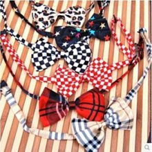 寵物用品電子圍欄 寵物訓練器 可充電式 一拖二 歷史價格詳細信息