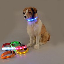 【LED發光寵物項圈(兩入裝)】LED 寵物安全圈 歷史價格詳細信息