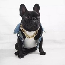 ۞芙芙遊樂園۞BLACKWOOD 柏萊富 4.5磅功能性全齡犬滋補養生 全齡腸胃保健配方 全齡護膚亮毛配方鯰魚 特調全齡犬 羊肉+糙米+雞肉 WDJ推薦 飼料 歷史價格詳細信息