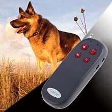 狗狗照明牽引繩/自動伸縮牽繩/遛狗繩/寵物/狗狗/狗繩/狗鏈/狗用品/牽引繩/寵物牽繩/牽引帶/寵物用品【超取】 歷史價格詳細信息