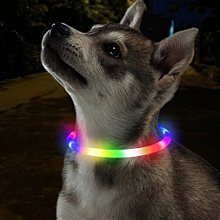 USB寵物LED發光項圈 歷史價格詳細信息