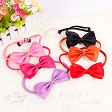 精品寵物用品可調節加厚貓狗頸圈寵物狗嘴繩嘴套狗嘴鼻狗嘴套牽引帶 歷史價格詳細信息