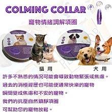 熱銷 歐美 sm 漆皮亮面仿皮長筒襪 含漆皮丁字褲 黑色仿皮襪 情趣漆皮襪 主奴調教 偽娘 性感內衣褲 bdsm-可開發 歷史價格詳細信息