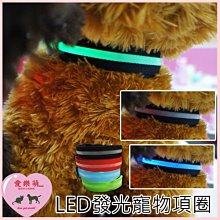 USB寵物LED發光項圈 歷史價格詳細信息
